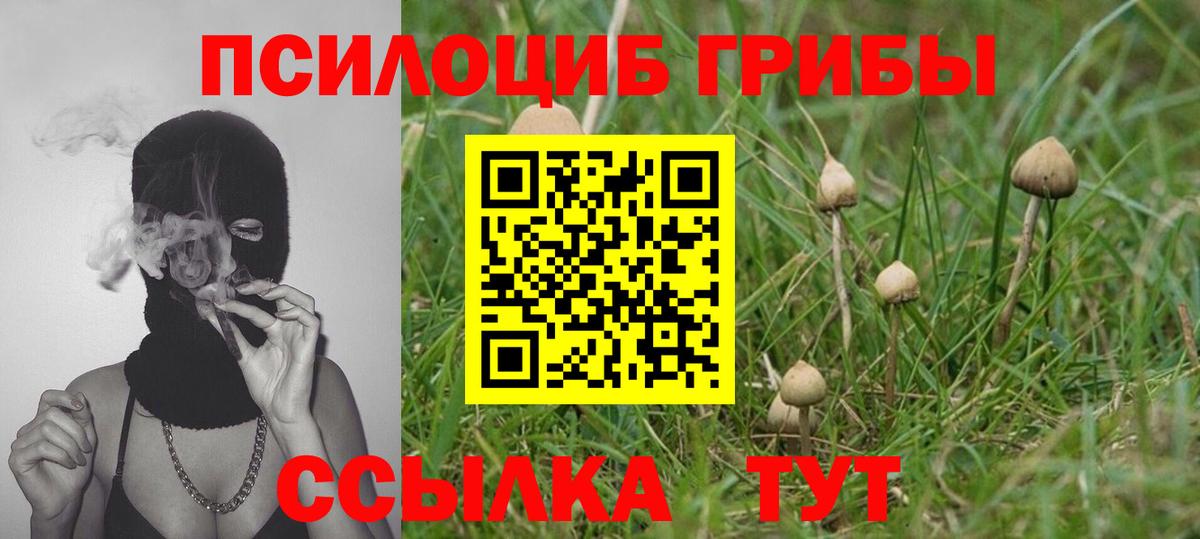 Галлюциногенные грибы MAGIC MUSHROOMS  Галлюциногенные грибы мухоморы  Сыктывкар  Вход с VPN 