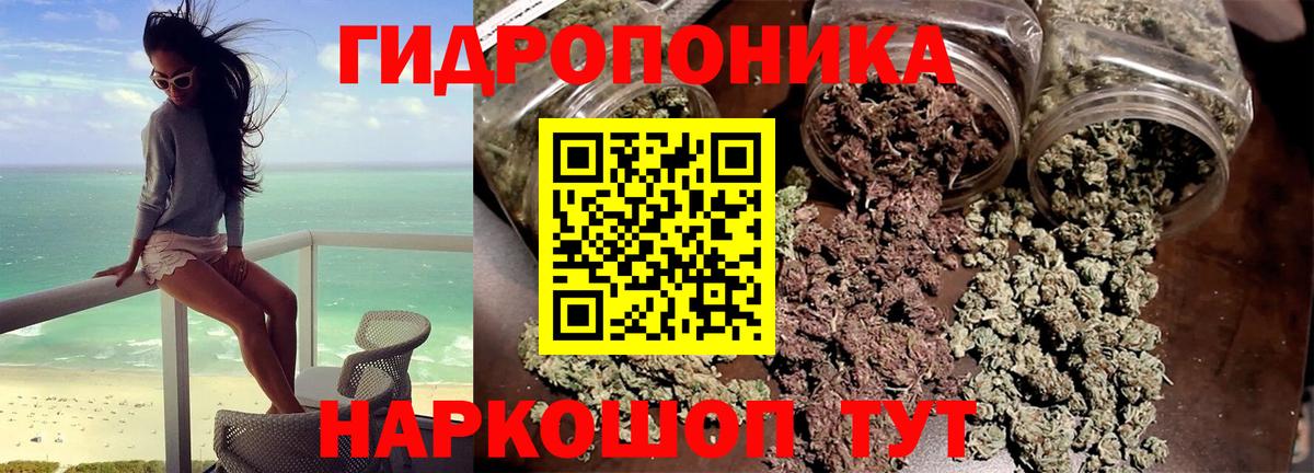Шишки марихуана тримм  Шишки марихуана гибрид  Сыктывкар  Вход с VPN  Шишки марихуана Bruce Banner 